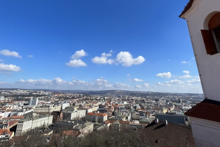 Rozhledna a Královská kaple